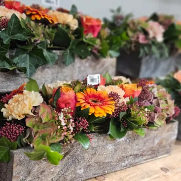 Grafstuk van Floralux Sint-Pieters-Leeuw