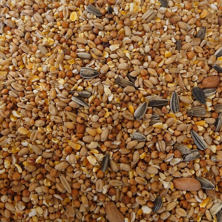 FLORALUX FLATPACK 4 SEASONS 4KG + 400 GR - 0 - 1 - 2 - 3