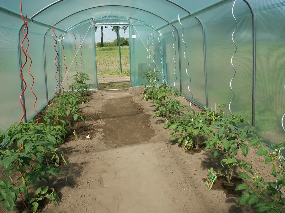 Tunnelserre Splendid 18 m² kopen - tunnelserre aanbieding-3