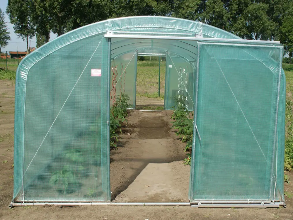 Tunnelserre Splendid 22,5 m² kopen - beste tunnellserre kopen-1