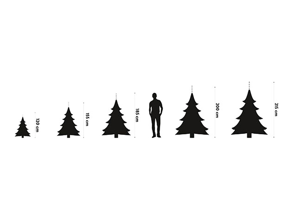 -3